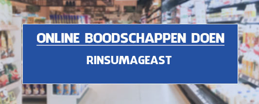 boodschappen bezorgen Rinsumageast